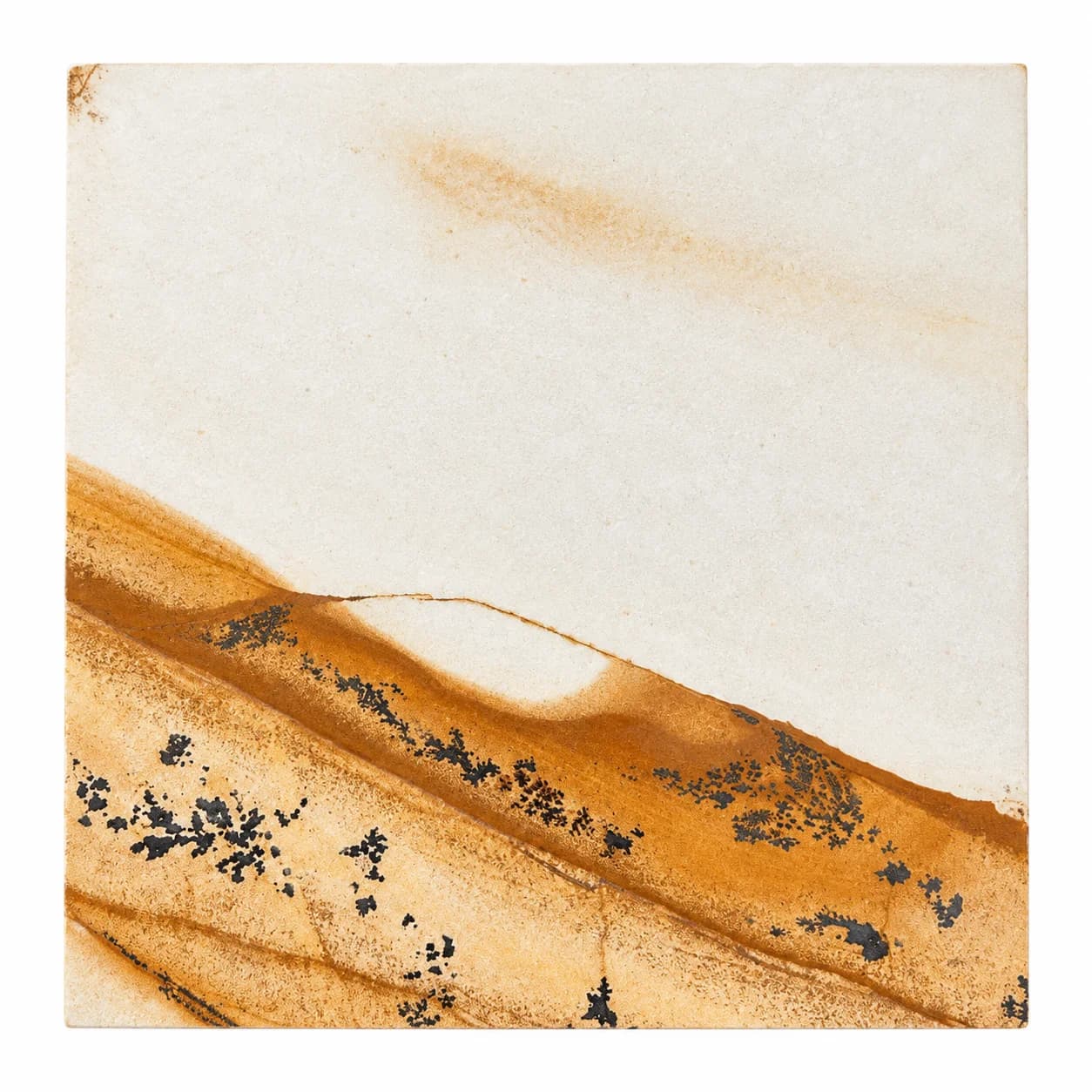 Cactus Stone Desert Storm Countertops