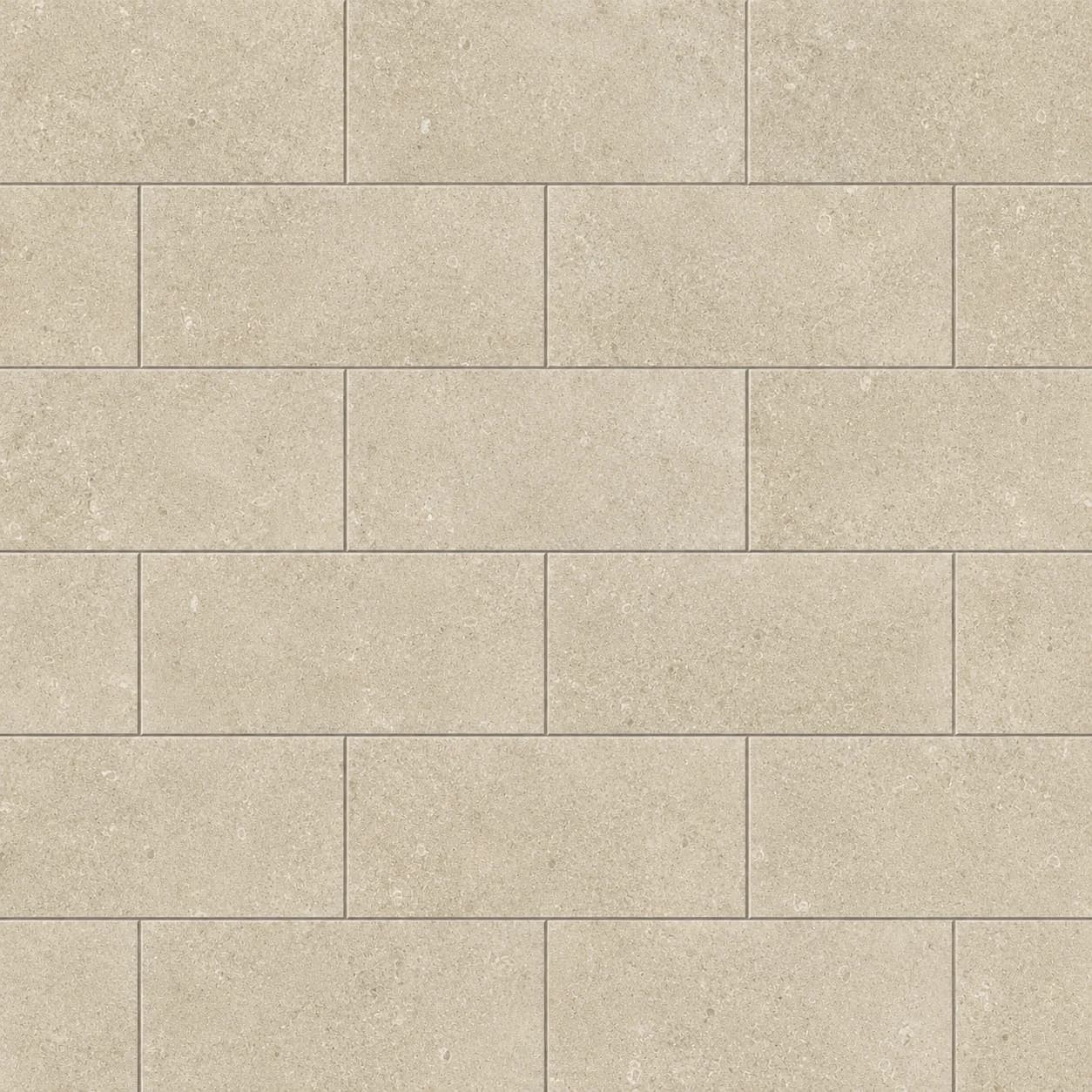 Cactus Stone Coquille Sable Tile