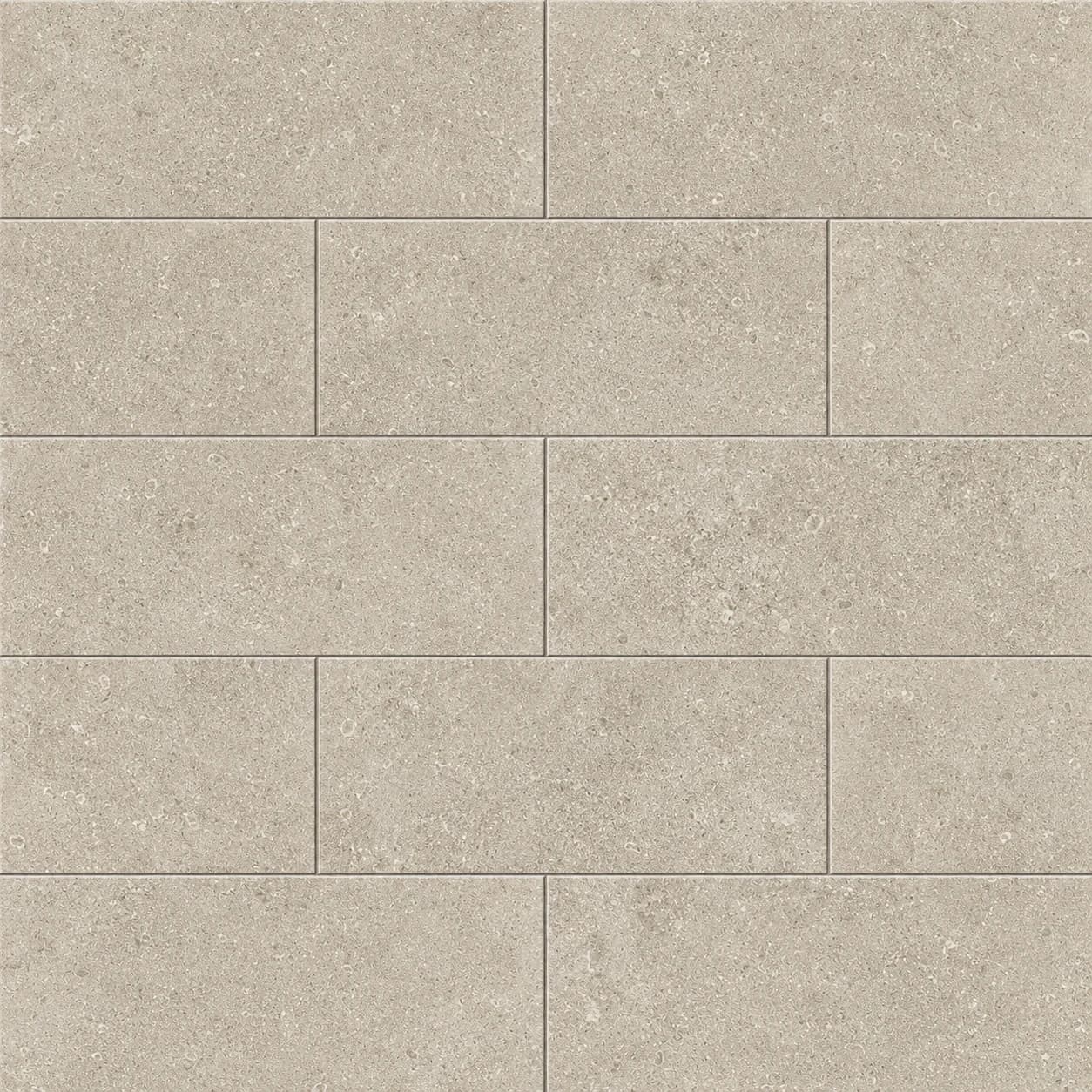 Cactus Stone Coquille Champagne Tile